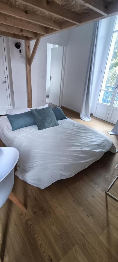 Studio Vichy Patrimoine Mondial Villa Marie Celine Екстер'єр фото